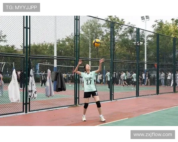 排球盛宴:深入杭州排球队的训练与荣耀之路